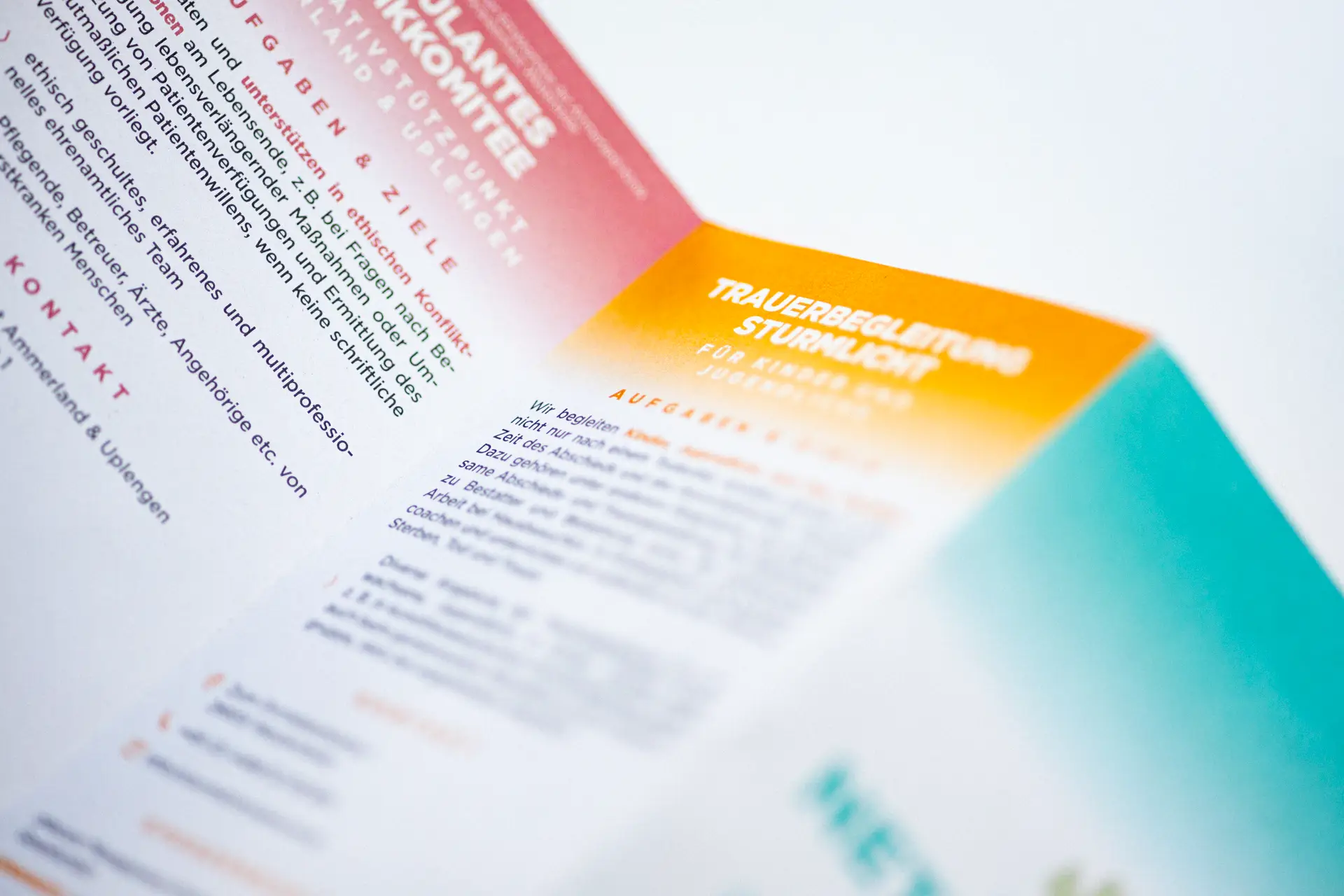 zumbrocks-kreativegntur-oldenburg-plexxon-flyer